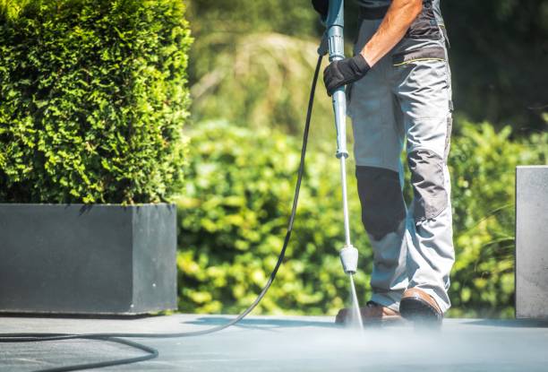 Animal Enclosure Cleaning in Newton, MS